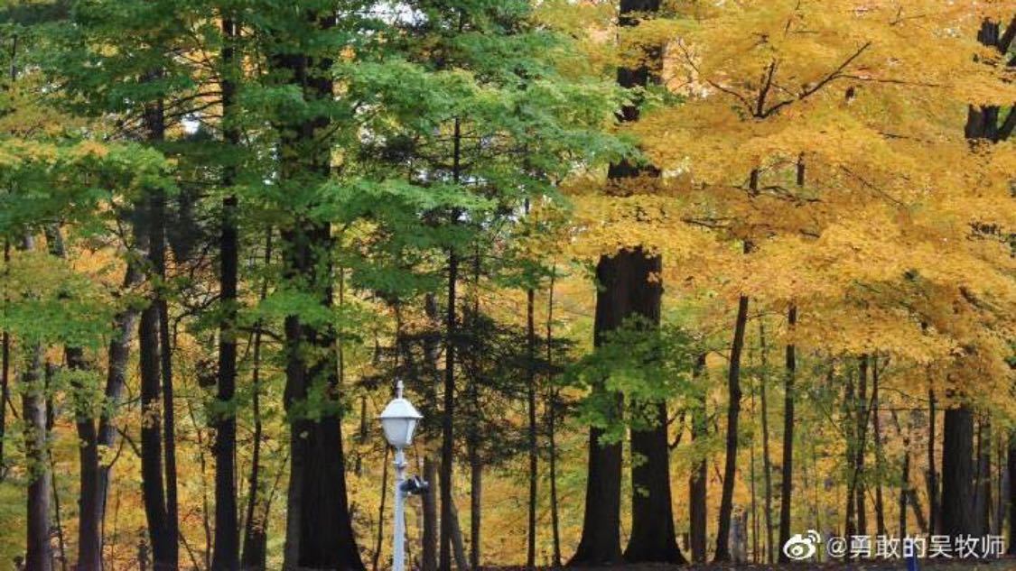 全网低价自助下单